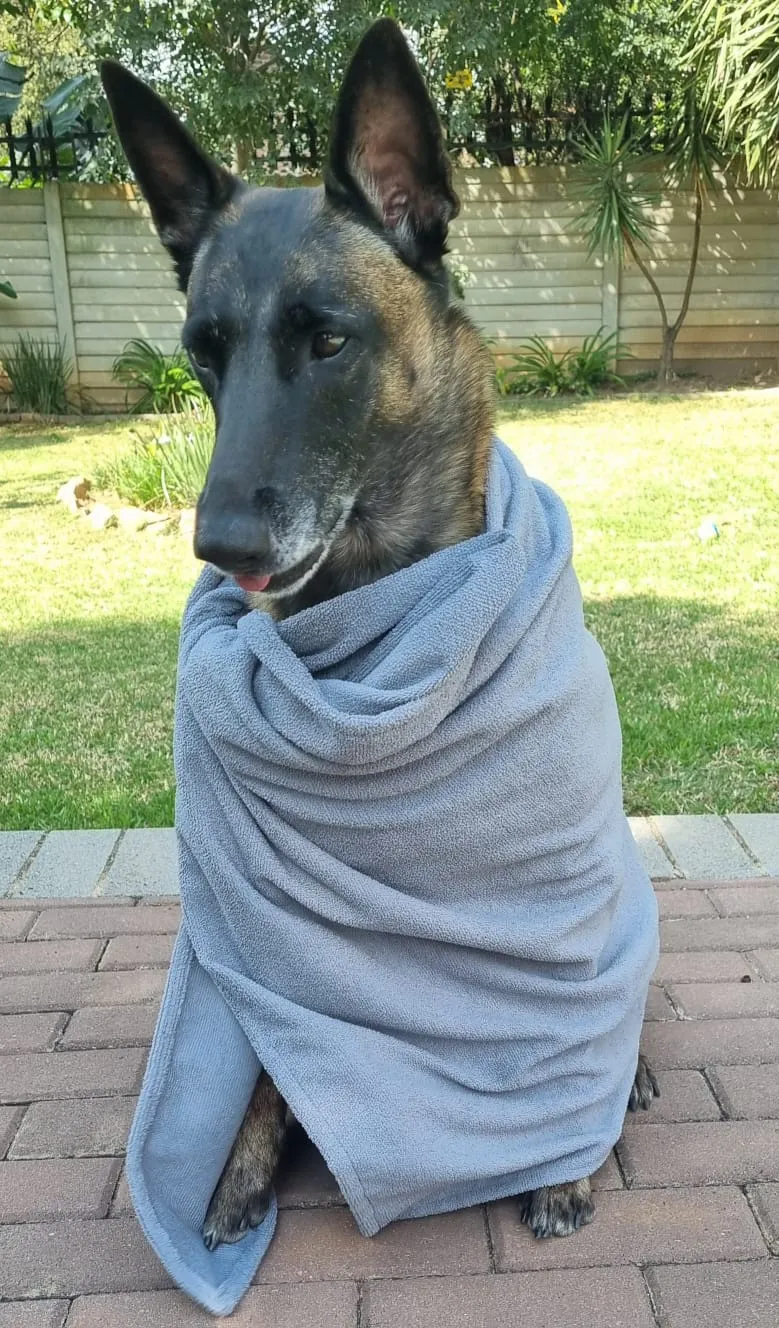 Dog Drying Towels